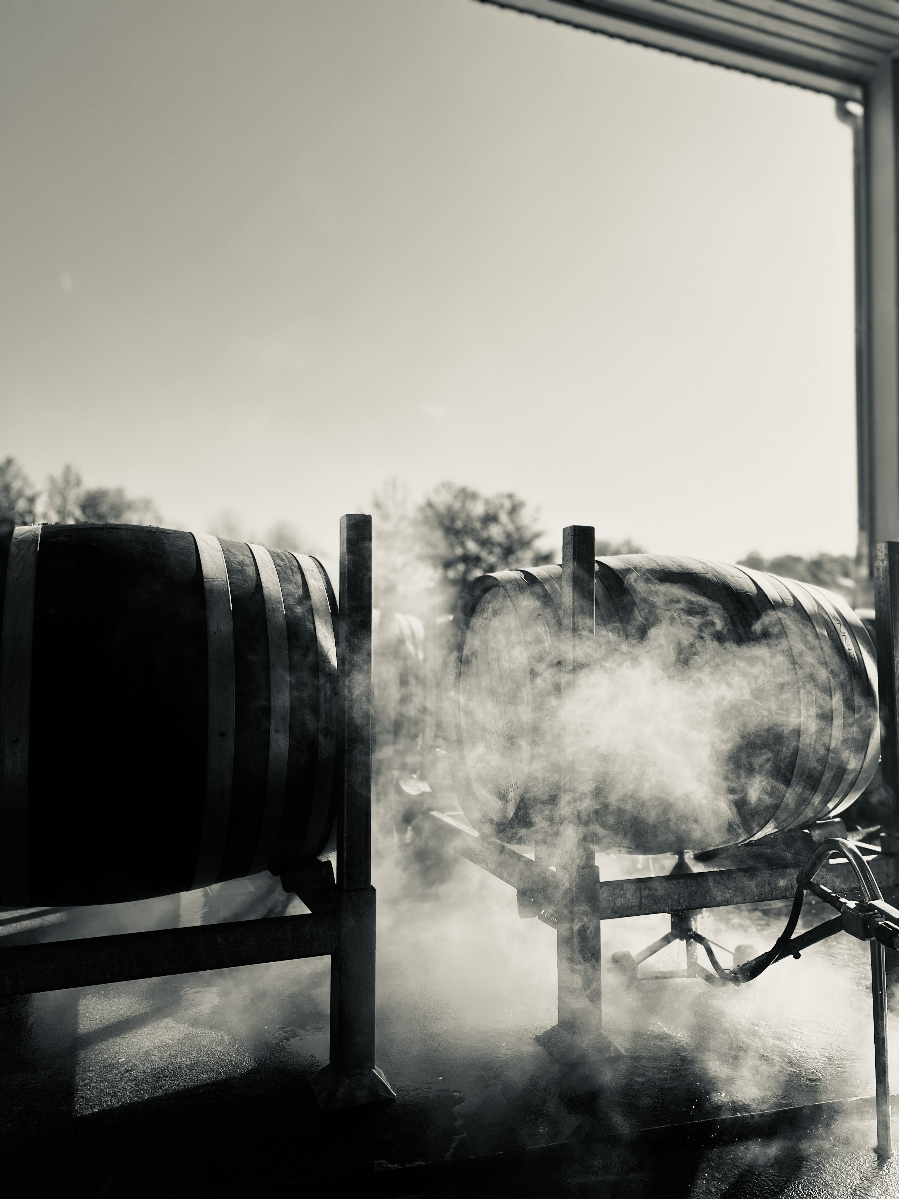 Harvest work at a winery
